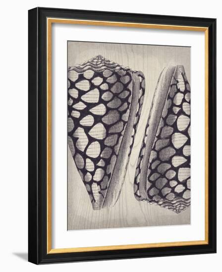 Coquille I-Maria Mendez-Framed Giclee Print