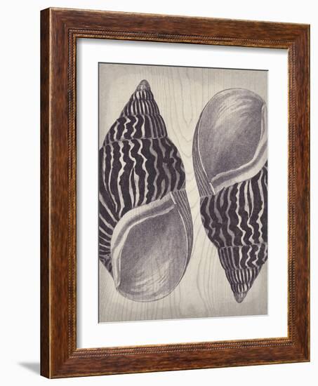 Coquille II-Maria Mendez-Framed Giclee Print