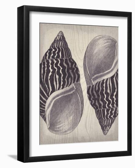 Coquille II-Maria Mendez-Framed Giclee Print