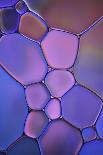 Purple Stained Glass-Cora Niele-Photographic Print
