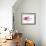 Coradion Fish-null-Framed Premium Photographic Print displayed on a wall