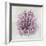 Coral Amethyst I-Caroline Kelly-Framed Art Print