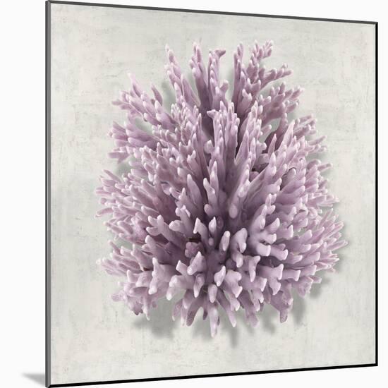 Coral Amethyst I-Caroline Kelly-Mounted Art Print