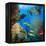 Coral and Fish in the Red Sea.Egypt-Irochka-Framed Premier Image Canvas