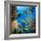 Coral and Fish in the Red Sea.Egypt-Irochka-Framed Photographic Print