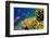 Coral and Fish in the Red Sea.Egypt-Irochka-Framed Photographic Print