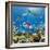 Coral and Fish in the Red Sea.Egypt-Irochka-Framed Photographic Print