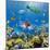 Coral and Fish in the Red Sea.Egypt-Irochka-Mounted Photographic Print