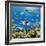 Coral and Fish in the Red Sea.Egypt-Irochka-Framed Photographic Print