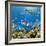 Coral and Fish in the Red Sea.Egypt-Irochka-Framed Photographic Print