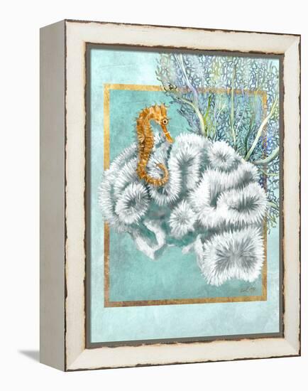 Coral and Seahorse-Lori Schory-Framed Stretched Canvas