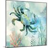 Coral Bay Crab-null-Mounted Art Print