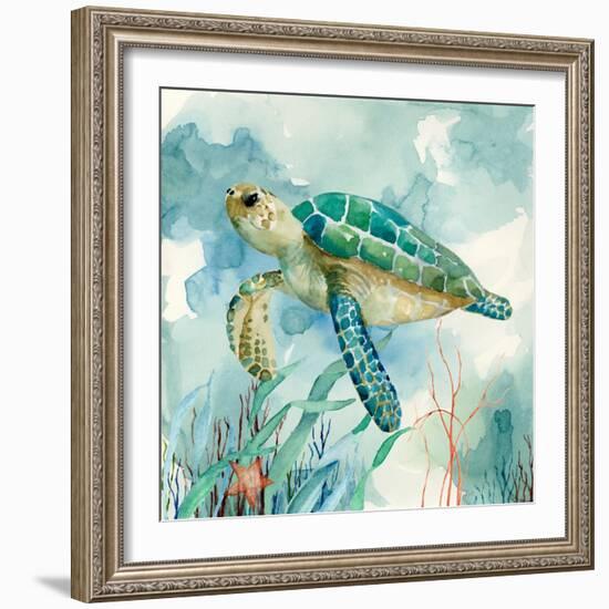 Coral Bay Sea Turtle II-null-Framed Premium Giclee Print