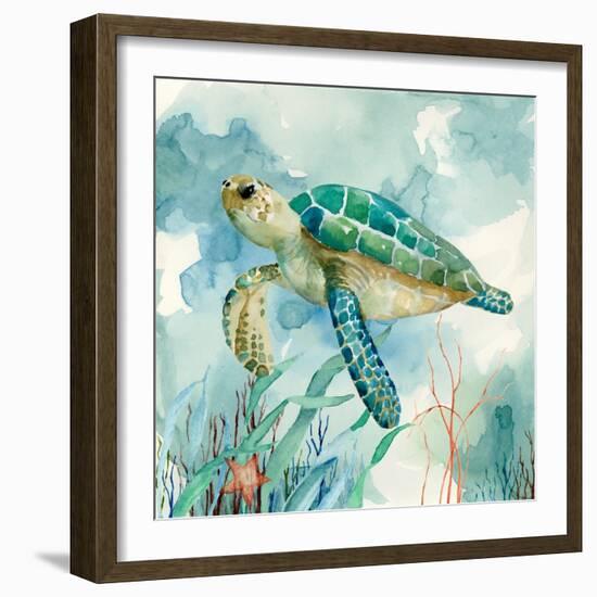 Coral Bay Sea Turtle II-null-Framed Premium Giclee Print