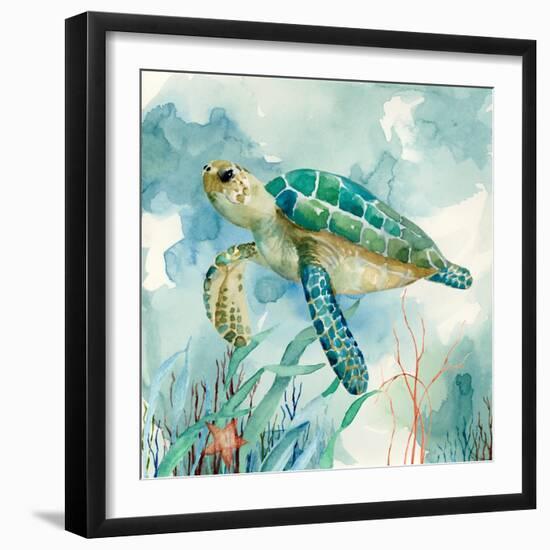 Coral Bay Sea Turtle II-null-Framed Premium Giclee Print