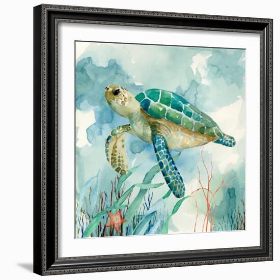 Coral Bay Sea Turtle II-null-Framed Premium Giclee Print