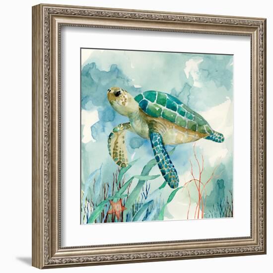 Coral Bay Sea Turtle II-null-Framed Art Print