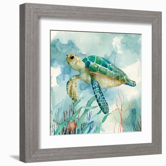 Coral Bay Sea Turtle II-null-Framed Art Print