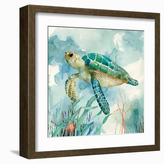 Coral Bay Sea Turtle II-null-Framed Art Print