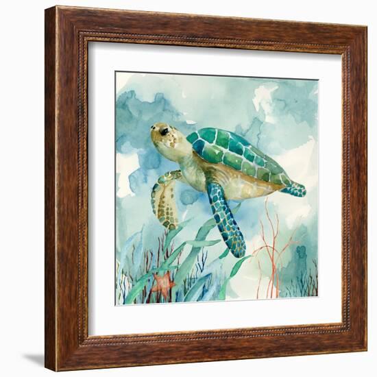 Coral Bay Sea Turtle II-null-Framed Art Print