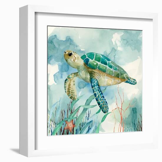 Coral Bay Sea Turtle II-null-Framed Art Print