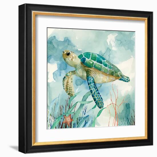 Coral Bay Sea Turtle II-null-Framed Art Print