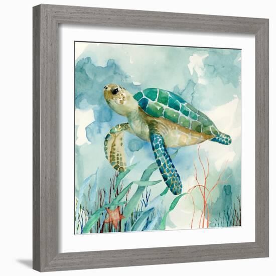 Coral Bay Sea Turtle II-null-Framed Art Print