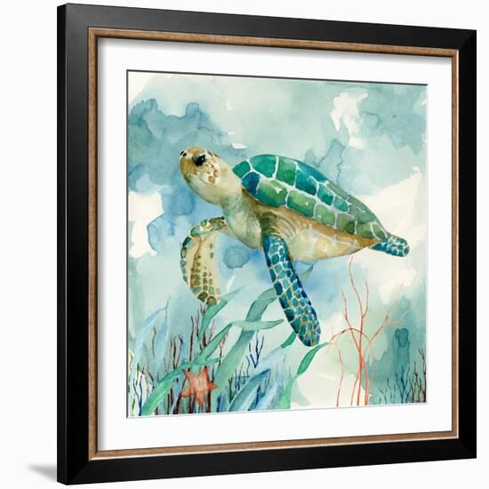 Coral Bay Sea Turtle II-null-Framed Art Print