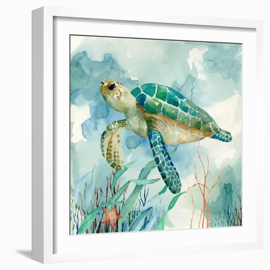 Coral Bay Sea Turtle II-null-Framed Art Print