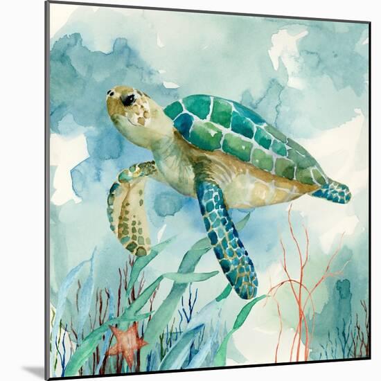 Coral Bay Sea Turtle II-null-Mounted Art Print