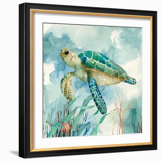 Coral Bay Sea Turtle II-null-Framed Art Print