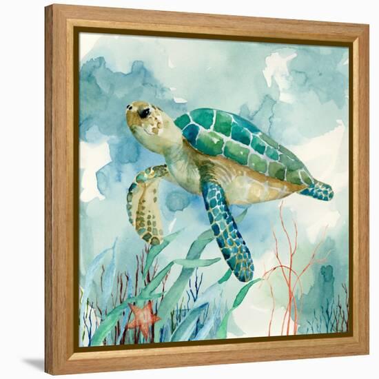 Coral Bay Sea Turtle II-null-Framed Stretched Canvas