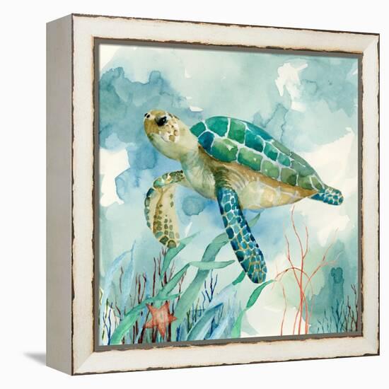 Coral Bay Sea Turtle II-null-Framed Stretched Canvas