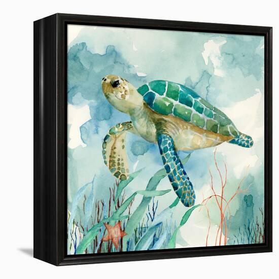 Coral Bay Sea Turtle II-null-Framed Stretched Canvas