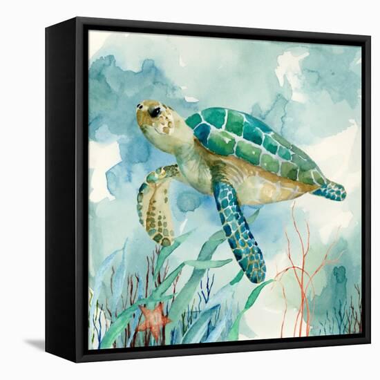 Coral Bay Sea Turtle II-null-Framed Stretched Canvas