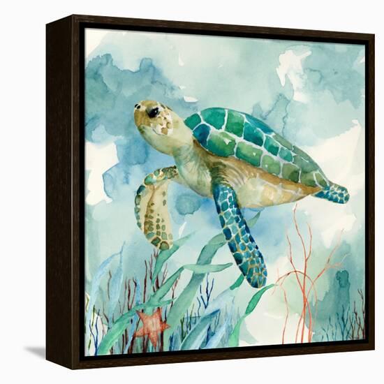 Coral Bay Sea Turtle II-null-Framed Stretched Canvas