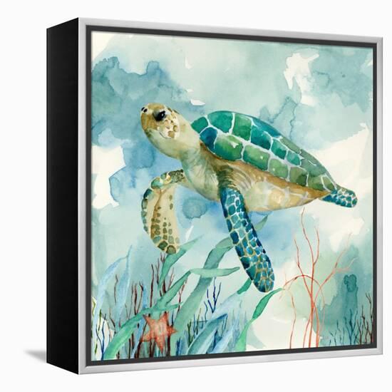 Coral Bay Sea Turtle II-null-Framed Stretched Canvas