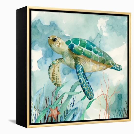Coral Bay Sea Turtle II-null-Framed Stretched Canvas