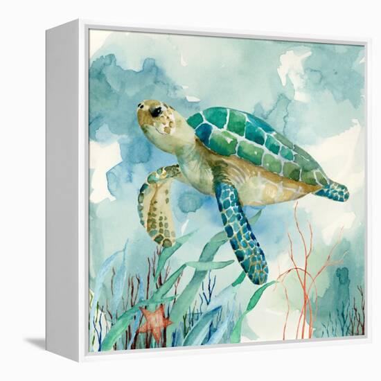 Coral Bay Sea Turtle II-null-Framed Stretched Canvas