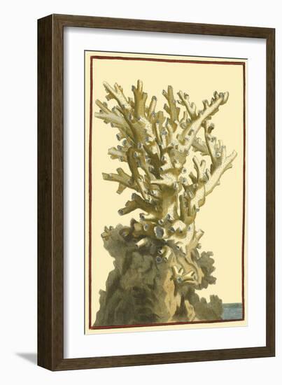 Coral by the Sea I-Vision Studio-Framed Art Print