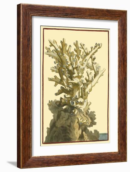 Coral by the Sea I-Vision Studio-Framed Art Print