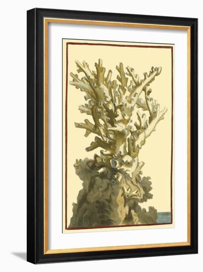 Coral by the Sea I-Vision Studio-Framed Art Print