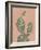 Coral Cacti I-null-Framed Art Print