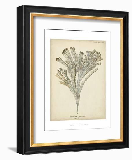 Coral Collection I-Johann Esper-Framed Art Print