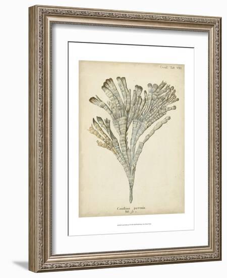 Coral Collection I-Johann Esper-Framed Art Print