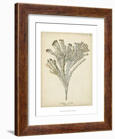 Coral Collection I-Johann Esper-Framed Art Print