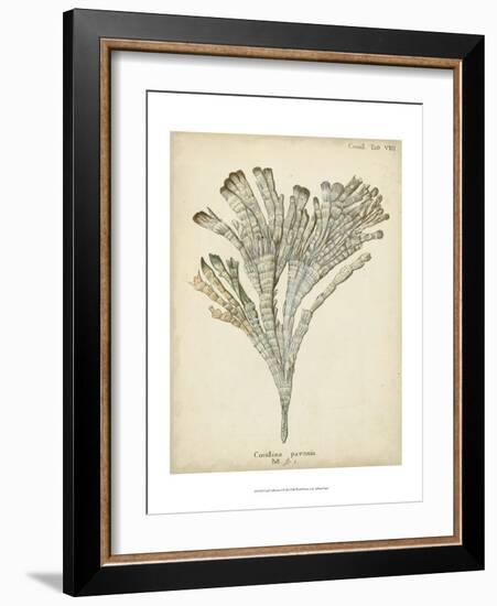 Coral Collection I-Johann Esper-Framed Art Print