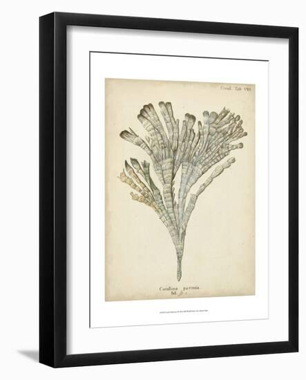 Coral Collection I-Johann Esper-Framed Art Print