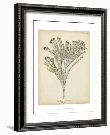 Coral Collection I-Johann Esper-Framed Art Print