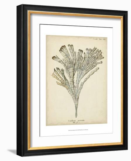 Coral Collection I-Johann Esper-Framed Art Print